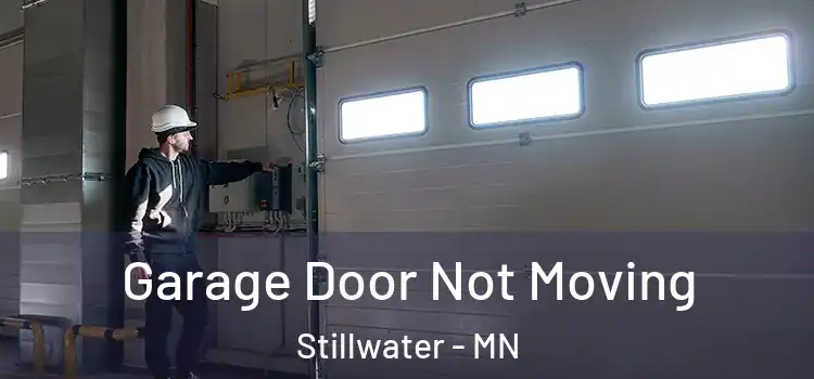  Garage Door Not Moving Stillwater - MN