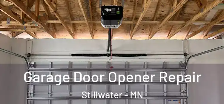  Garage Door Opener Repair Stillwater - MN